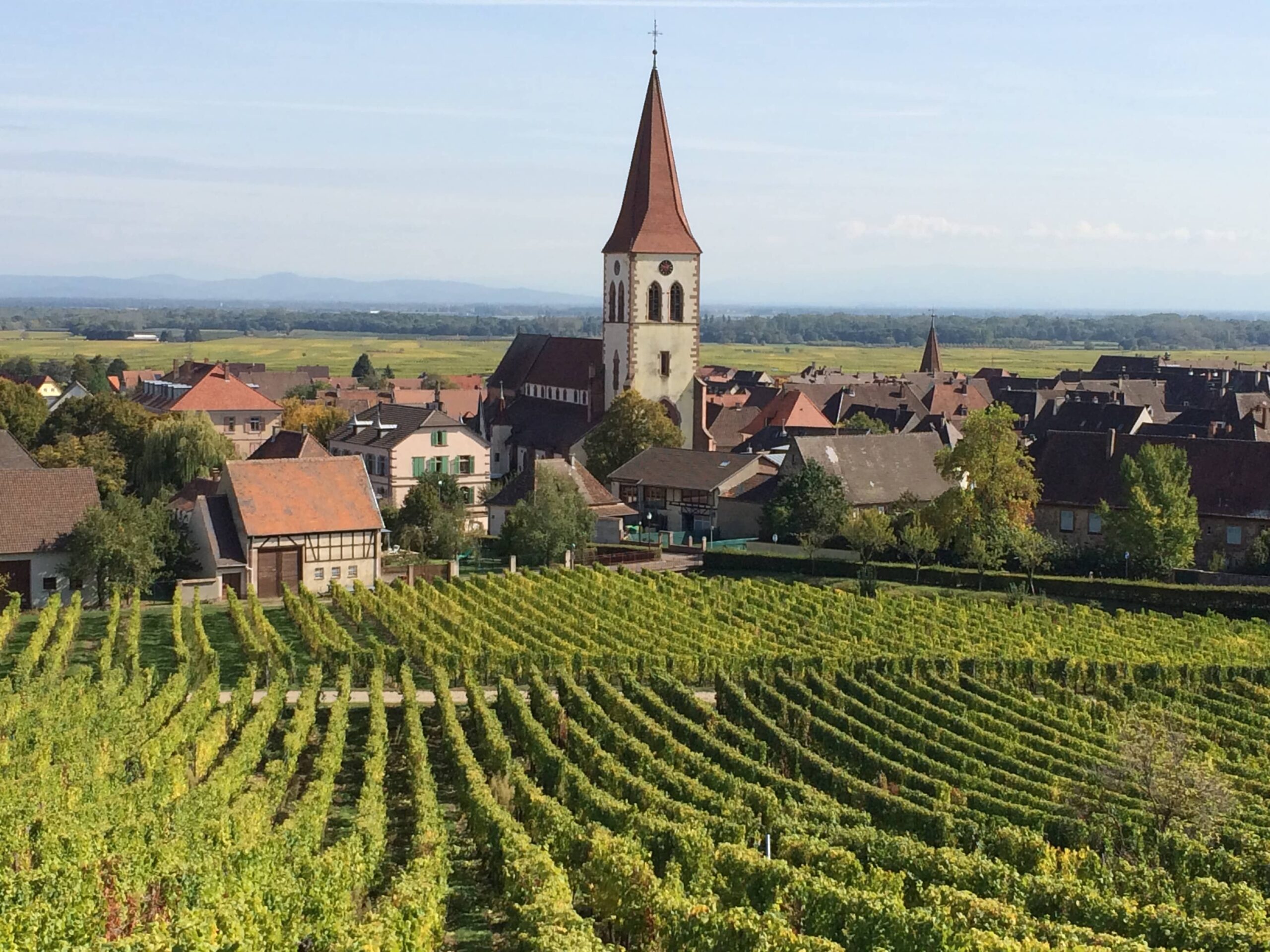 Ammerschwihr, Alsace, as seen from the vineyards. ©Deborah L. Jacobs