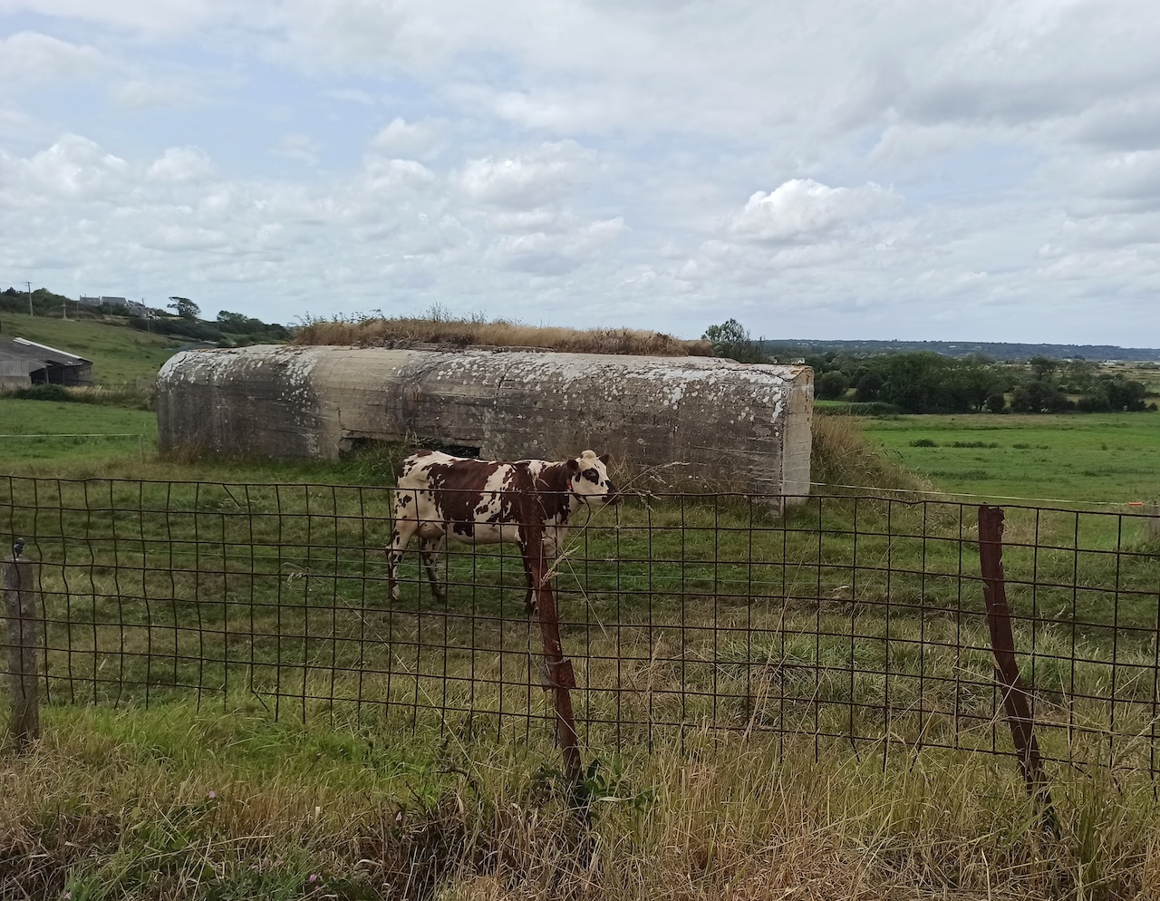 Normandy Embraces Its Heritage of Upcycling War Remnants